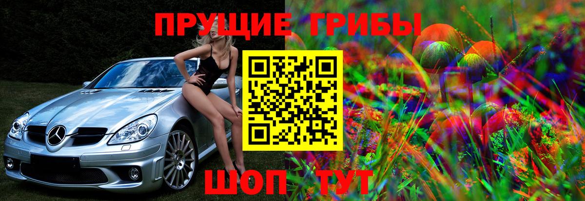 Псилоцибиновые грибы MAGIC MUSHROOMS Клин