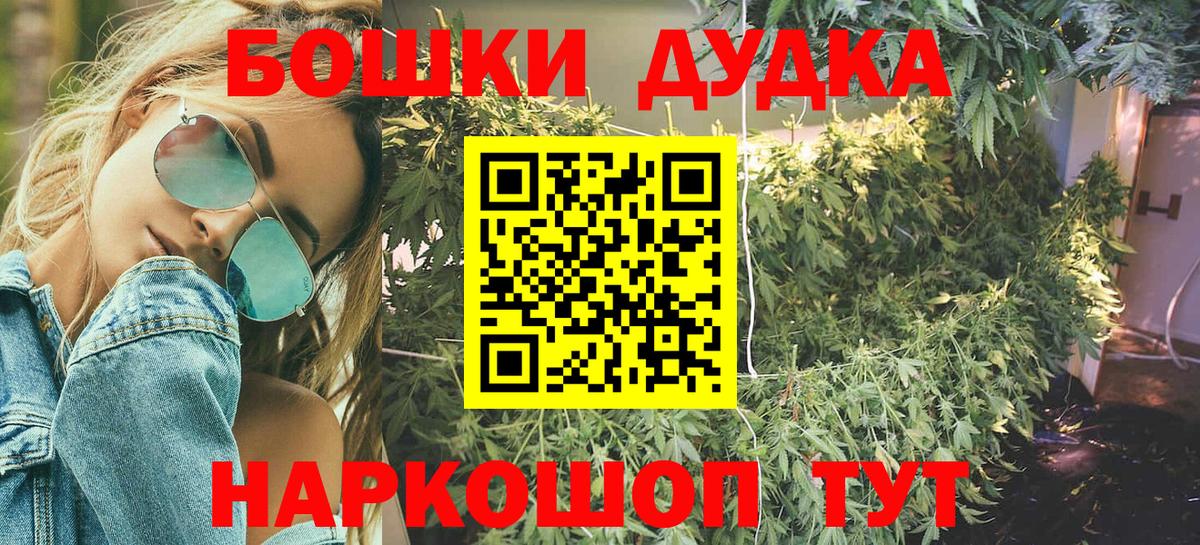 Каннабис планчик  Марихуана ГИДРОПОН  Клин  Вход с VPN  Бошки марихуана OG Kush 